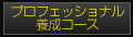 �v���t�F�b�V���i���{���R�[�X�y�[�W��